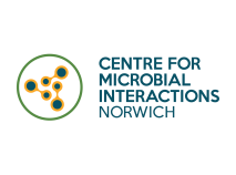 CMI Primary Horizontal Norwich RGB POS
